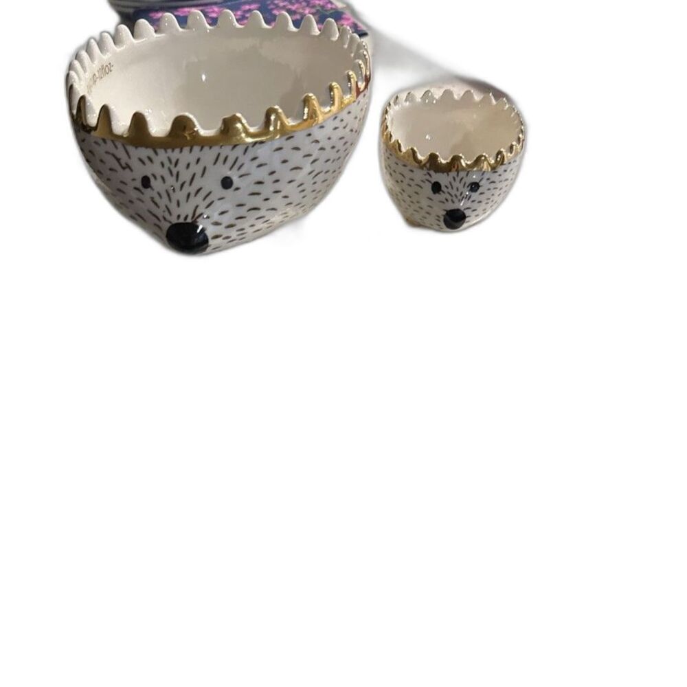 Hedgehog Mama And Baby. Measuring Cups But Only Have 2. No Chips